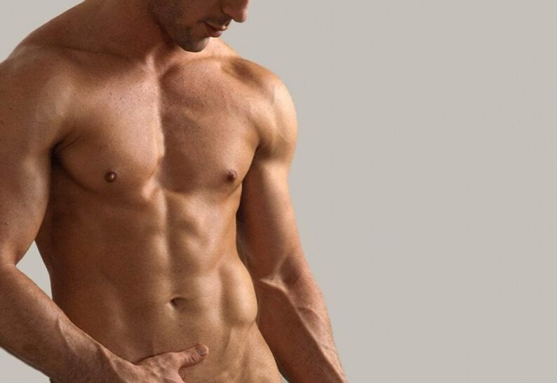 Parte superior do corpo masculino