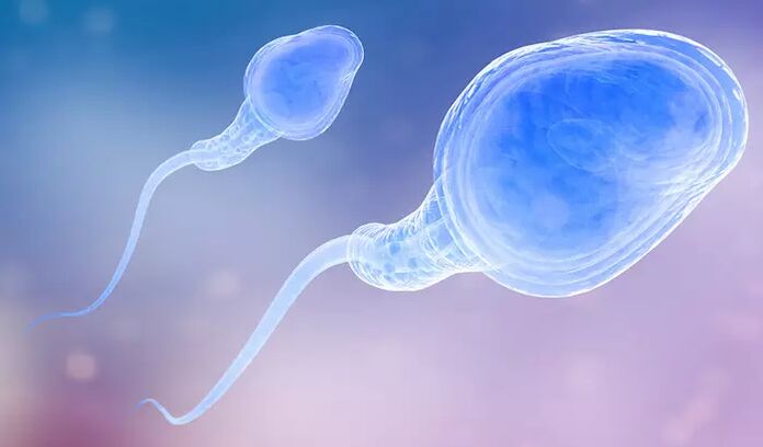 O esperma pode estar presente na pré-ejaculação de um homem